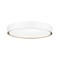Z-Lite Kawan 1 Light Flush Mount, 20in. W x 5.25in. L, Matte White and Modern Gold 1014F20-MW-MGLD-LED - alternate 2
